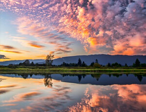 浙江队战术灵活,助力赢得比赛