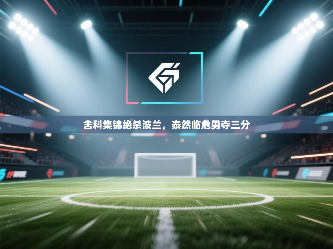 舍科集锦绝杀波兰，泰然临危勇夺三分  第1张