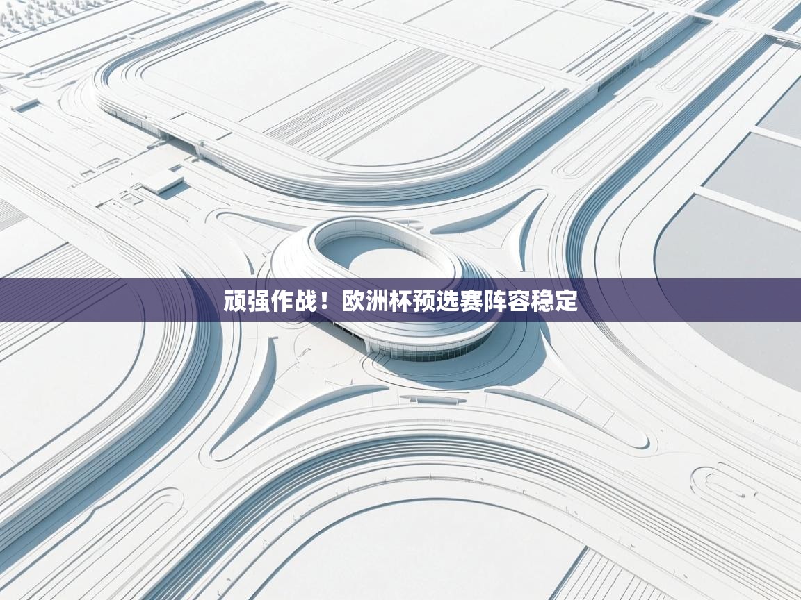 顽强作战！欧洲杯预选赛阵容稳定  第1张