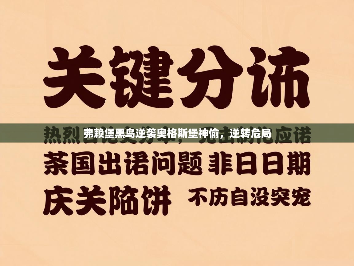 弗赖堡黑鸟逆袭奥格斯堡神偷，逆转危局  第1张