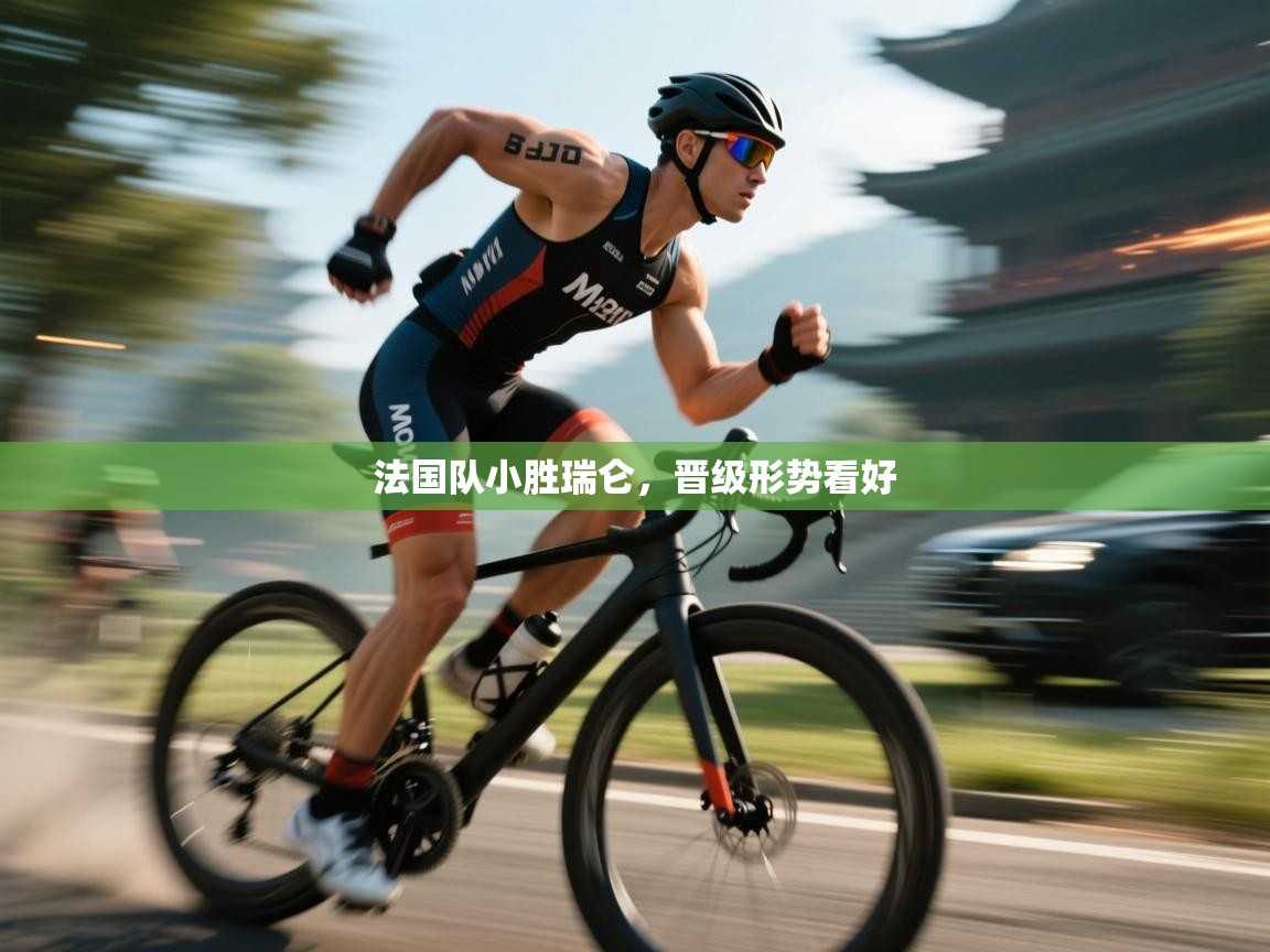 法国队小胜瑞仑,晋级形势看好 第1张